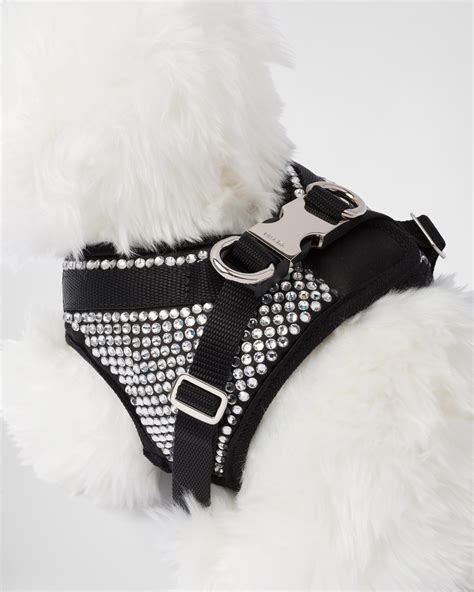 prada dog accessories